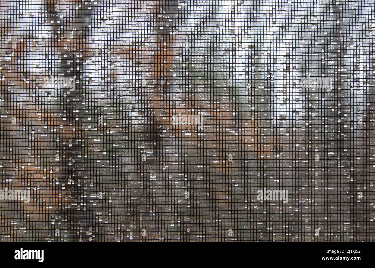 Gouttelettes de pluie coincées dans un écran de fenêtre Banque D'Images