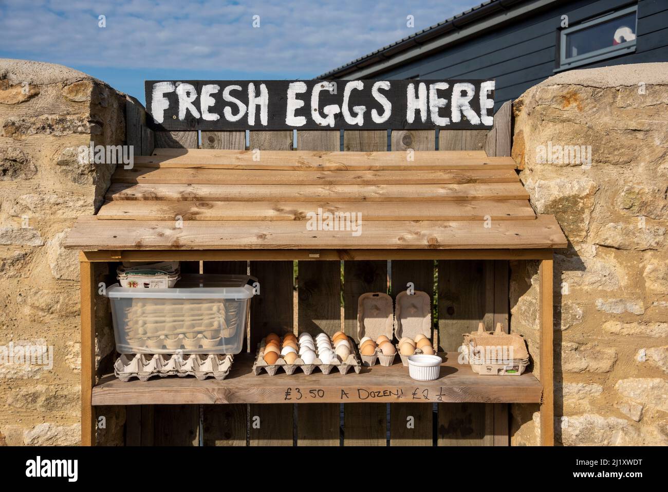 Un œuf frais dans une ferme près de Great Milton, Oxfordshire, Royaume-Uni Banque D'Images