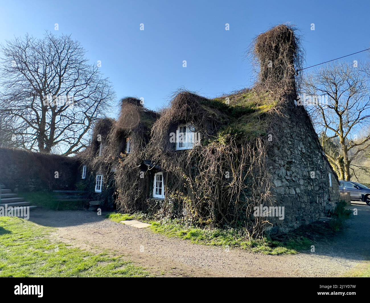 Cottage Woodland gallois Banque D'Images