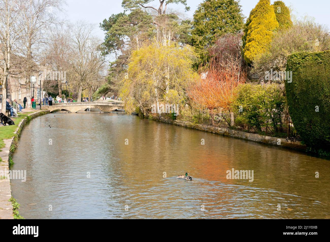 Bourton sur l'eau, Cotswolds, Angleterre Banque D'Images