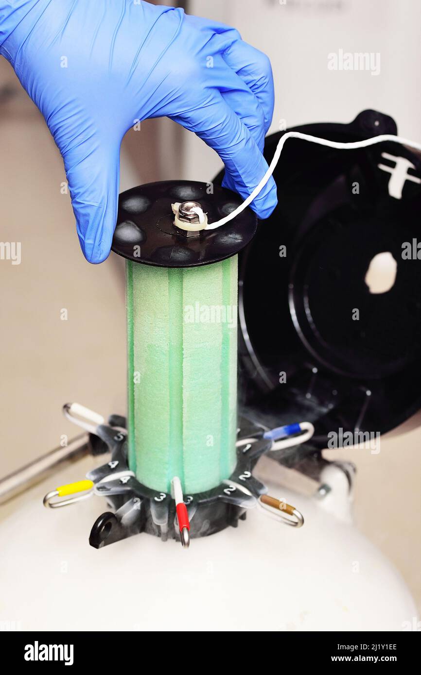 Récipient Dewar contenant de l'azote liquide avec des embryons et des œufs congelés dans une cryobanque dans une clinique moderne de FIV. Médecine de la reproduction, fécondation in vitro Banque D'Images