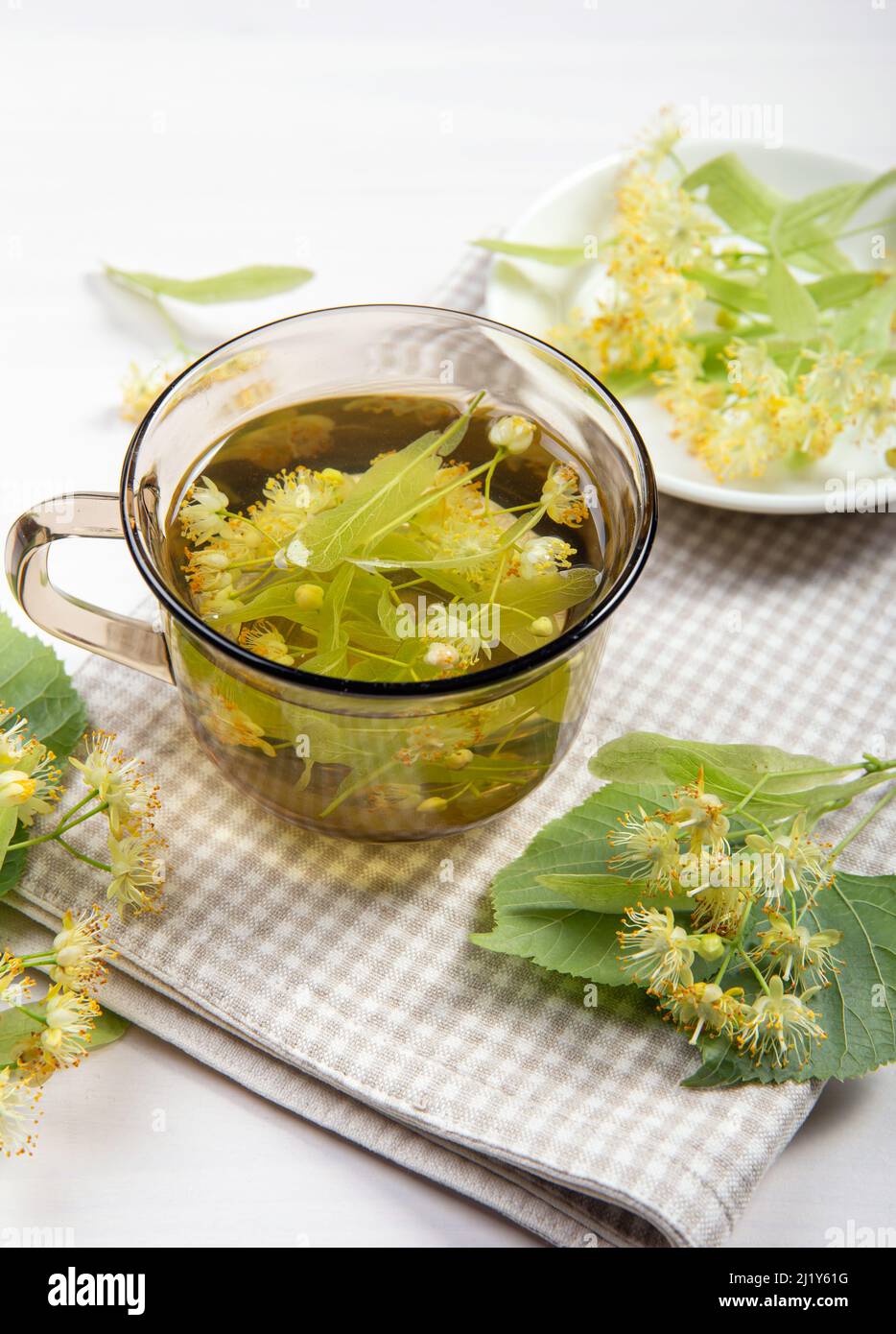 Tilia platyphyllos connu sous le nom de thé à base de plantes à fleurs de tilleul à grands feuilles, fait à partir d'une fleur fraîchement cueillie avec des feuilles d'arbre et des branches avec des fleurs Banque D'Images