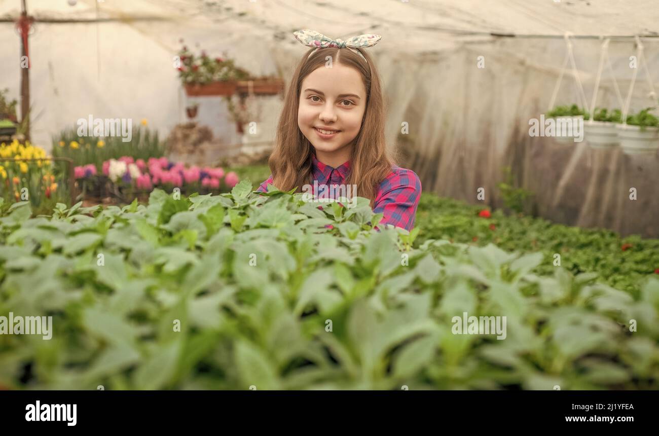 plantation. printemps et été. plantation de plantes en pot. jardinier pour enfants. fleurs dans le jardin. Banque D'Images