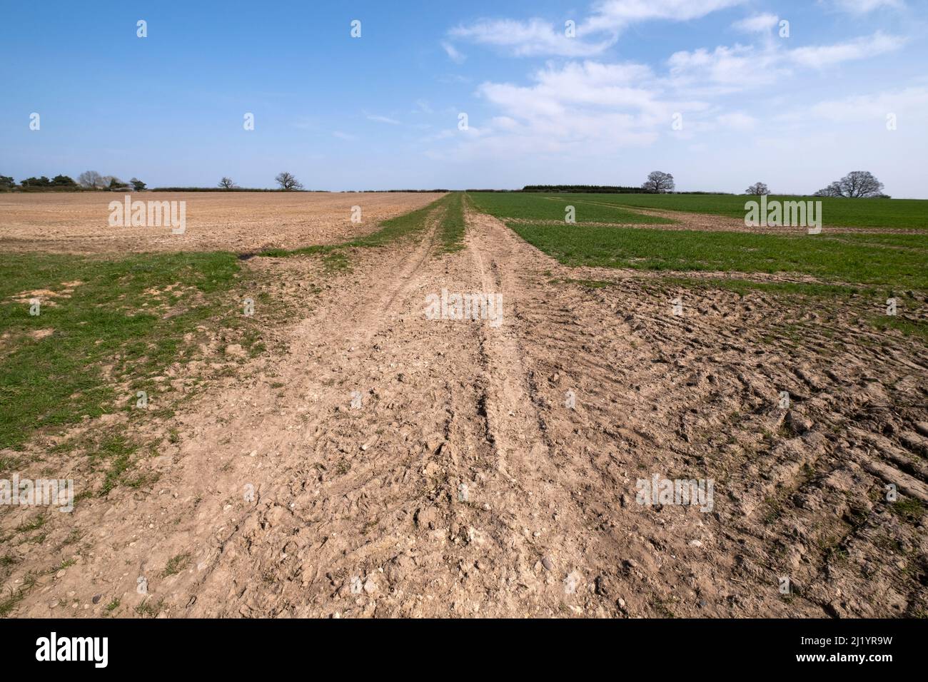 Des champs secs ont été séchés le long d'une récolte de printemps sur une ferme dans la campagne du Warwickshire après une période de temps sec. Banque D'Images