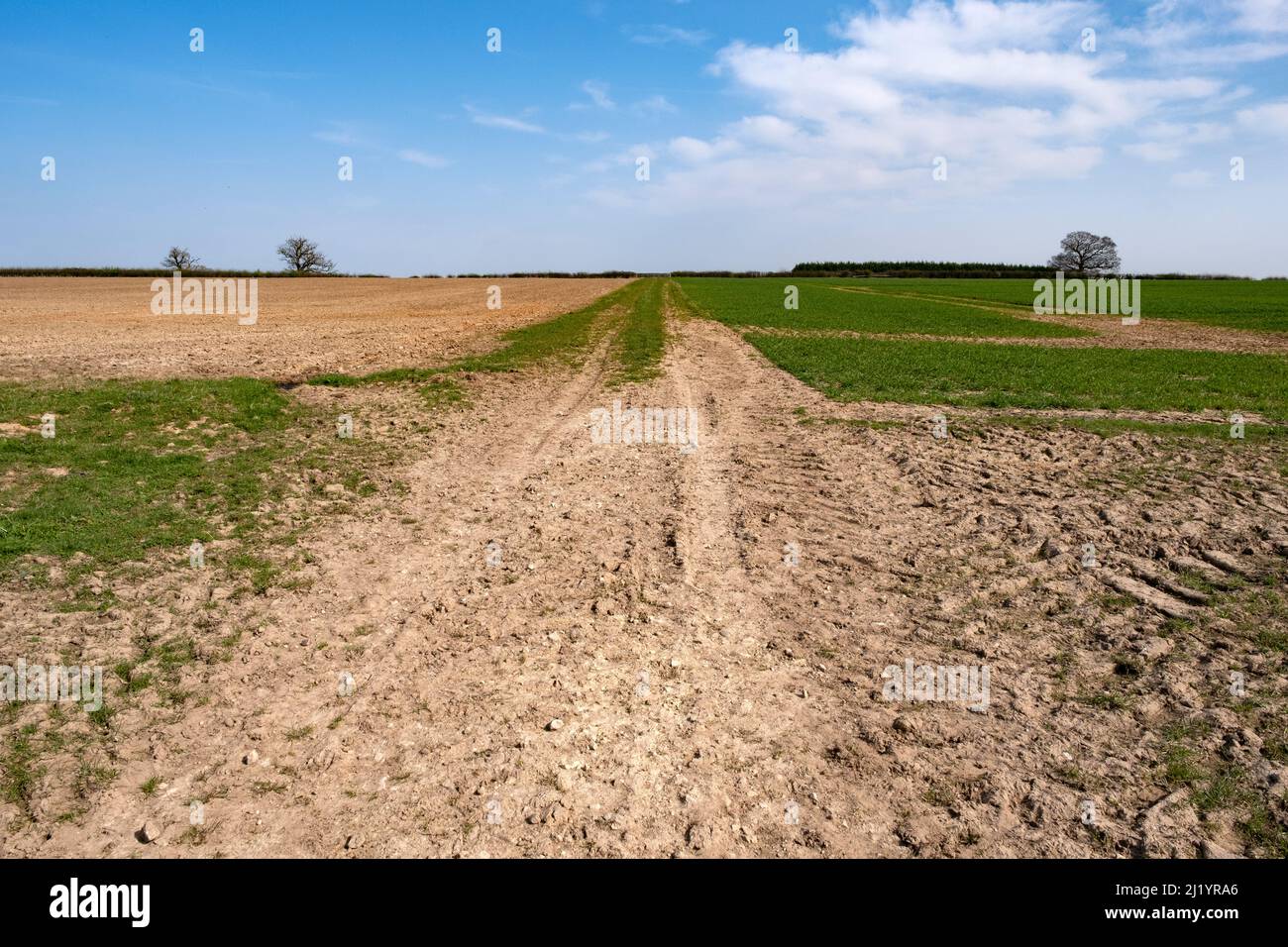 Des champs secs ont été séchés le long d'une récolte de printemps sur une ferme dans la campagne du Warwickshire après une période de temps sec. Banque D'Images