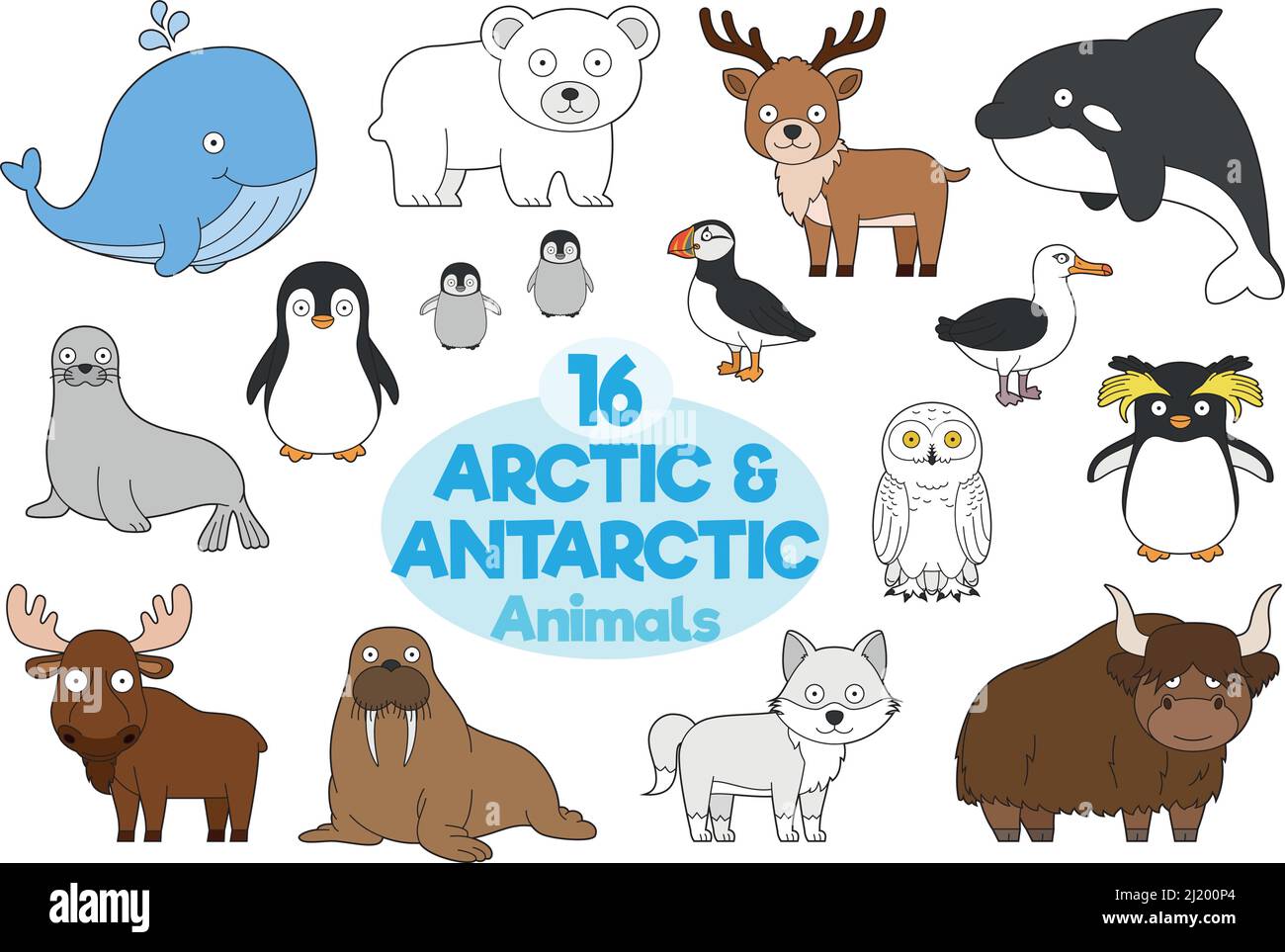 Ensemble de 16 animaux arctiques et antarctiques en dessin animé Vector Illustration Illustration de Vecteur