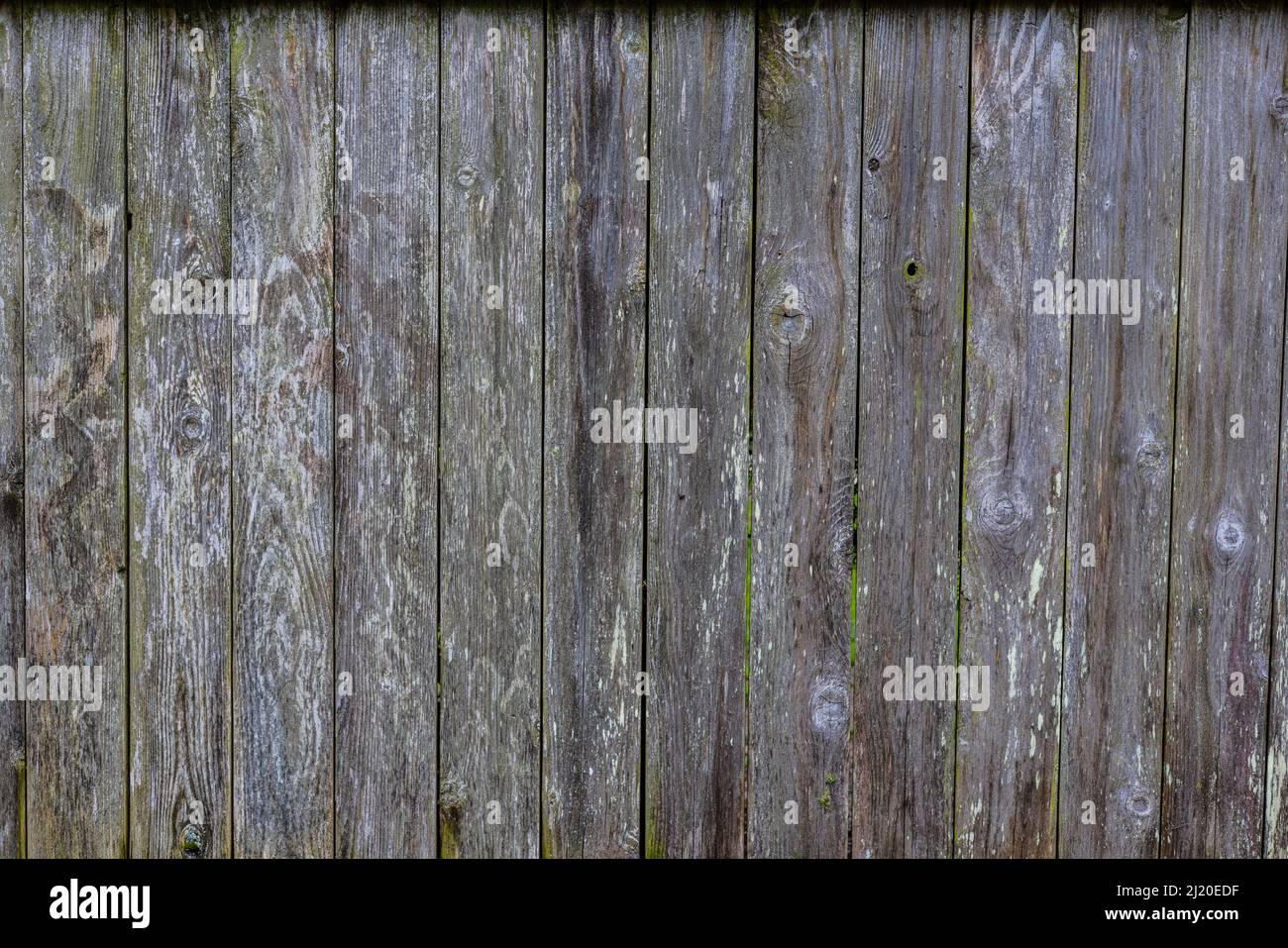 Une ancienne ligne de clôture en bois pourrie de panneaux juste verticaux s'est brisée. Banque D'Images