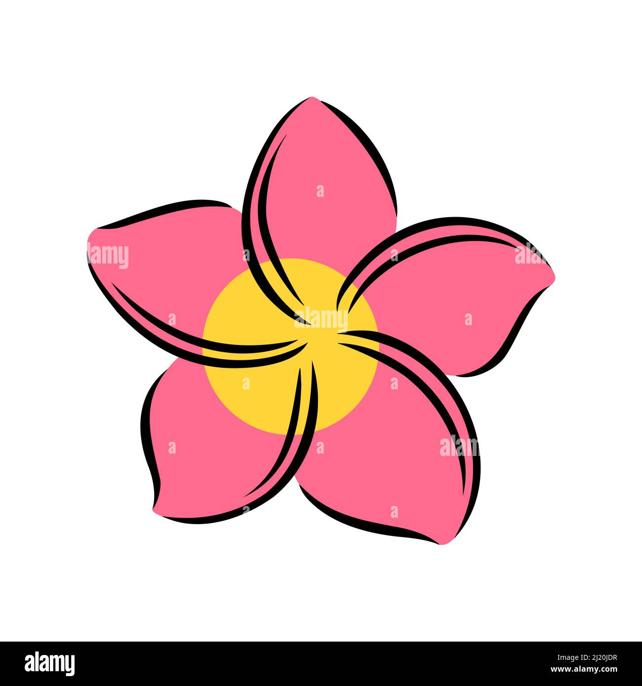 Frangipani ou plumeria fleurs exotiques d'été.Frangipani gravé isolé sur fond blanc.Illustration vectorielle Illustration de Vecteur