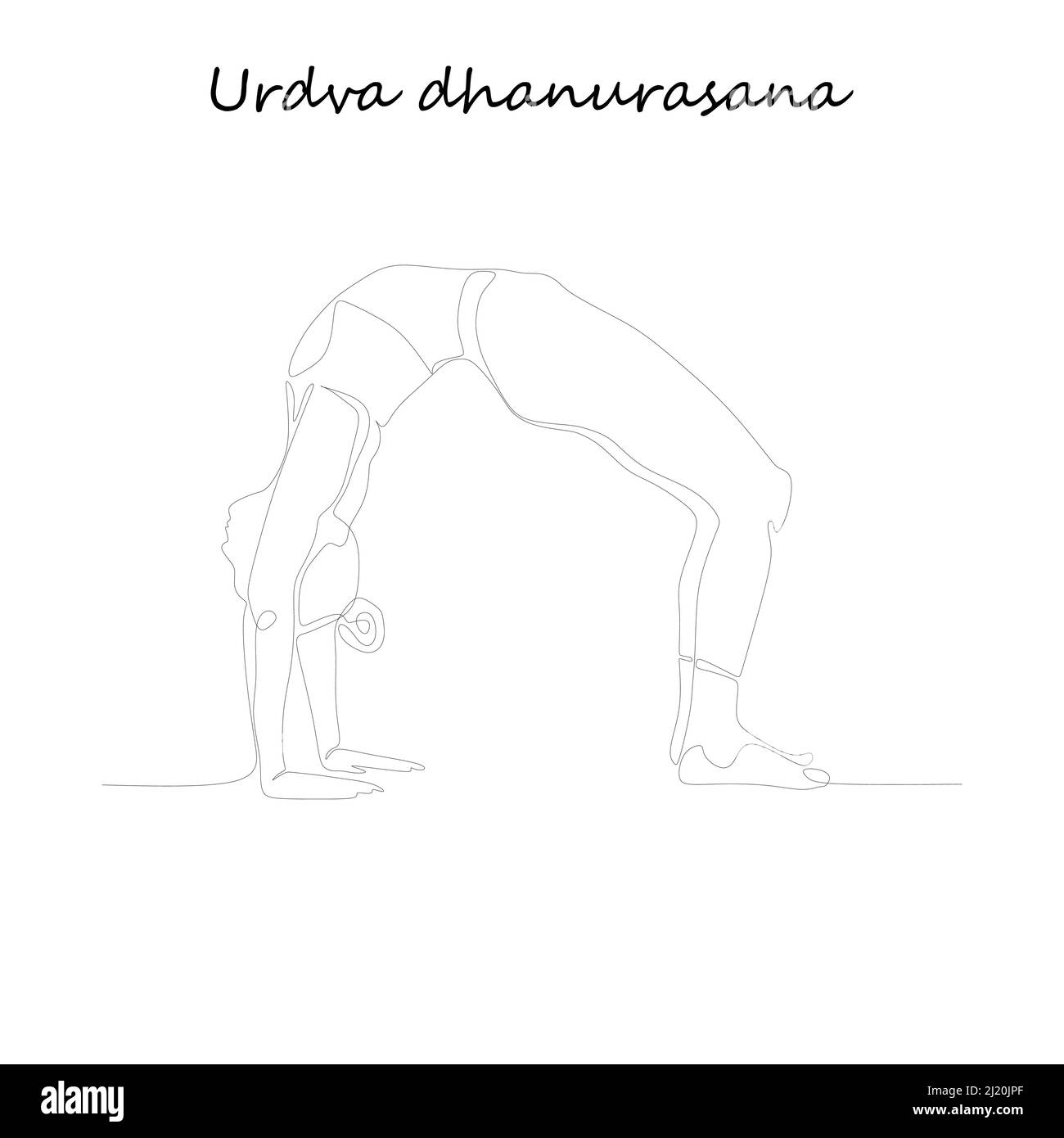Mise en plan de ligne continue. Jeune femme faisant de l'exercice de yoga, image de silhouette. Illustration uniligne en noir et blanc. Urdva dhanurasana Illustration de Vecteur