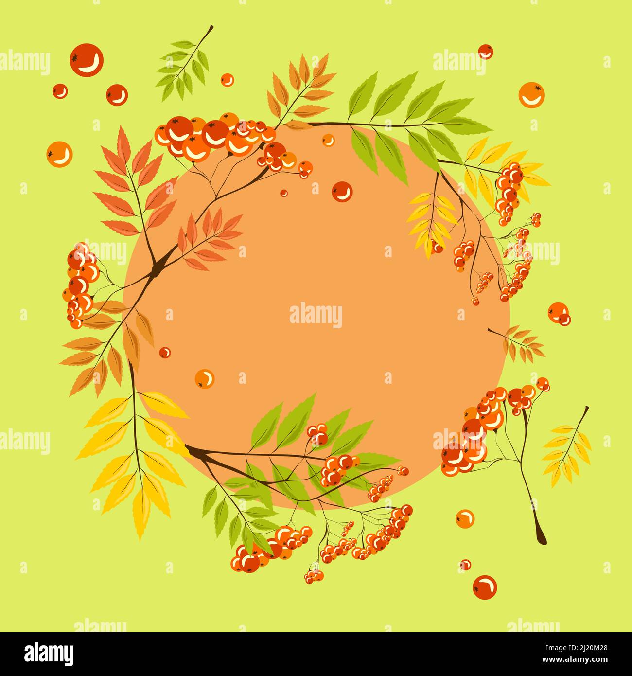 Rouge baies rowan bouquet de feuilles d'automne orange, vecteur réaliste illustration clipart isolé ensemble avec cadre de cercle Illustration de Vecteur