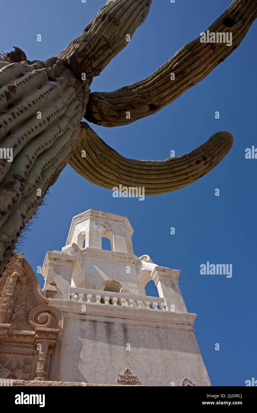 Mission San Xavier del bac église tour avec Saguaro cactus (Carnegia gigantea) contre le ciel bleu, Tohono O'odham Reservation, près de Tucson, Arizona, US Banque D'Images