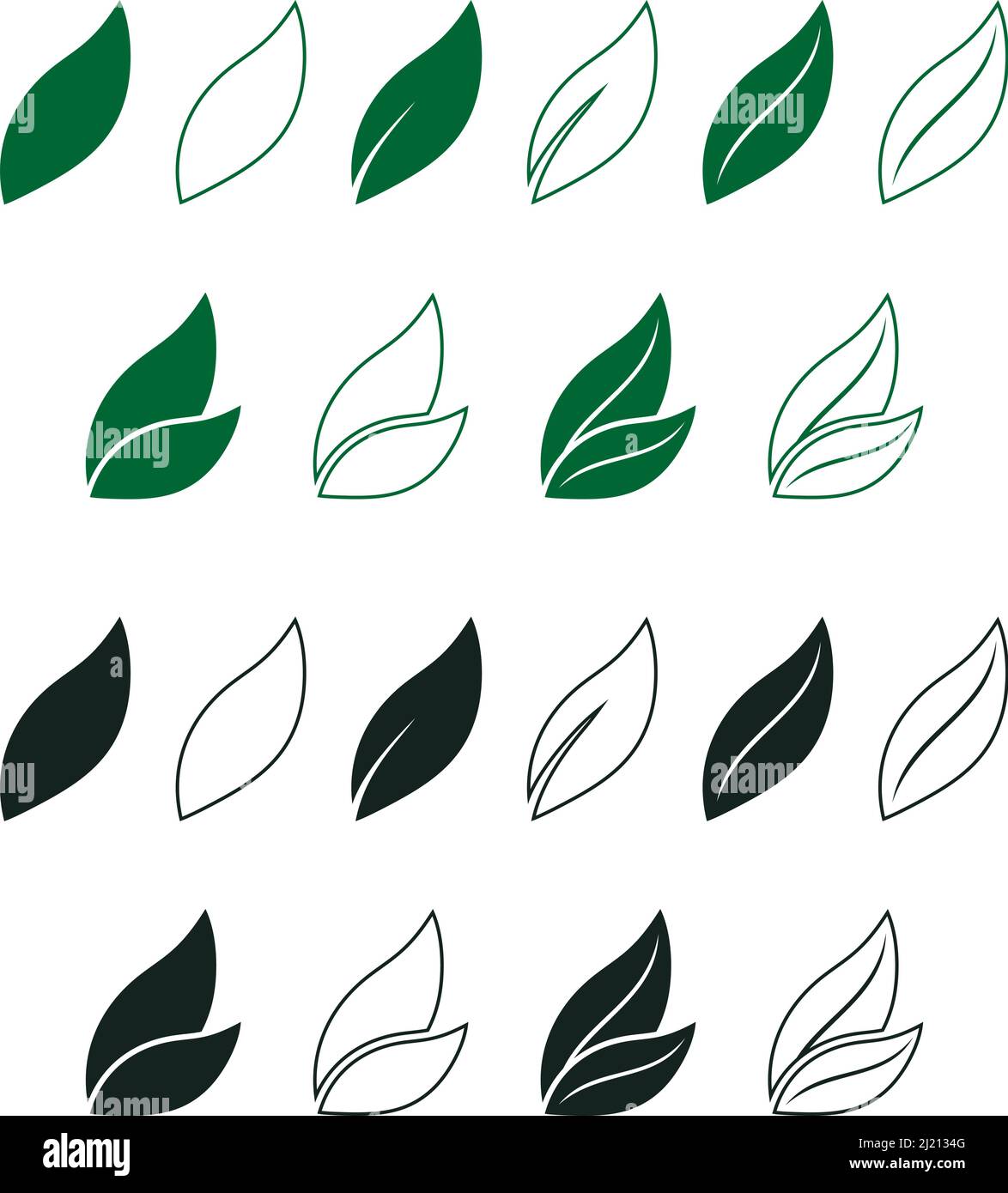 Vecteur de feuille défini en vert et noir. Arrière-plan blanc isolé. Le résumé laisse l'illustration dans différentes conceptions. Illustration de Vecteur