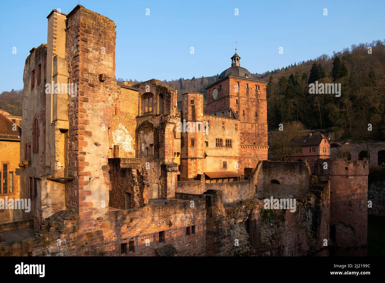 Le Ch teau De Heidelberg Heidelberg Schloss Est Une Ruine Et Un Point le-ch-teau-de-heidelberg-heidelberg-schloss-est-une-ruine-et-un-point