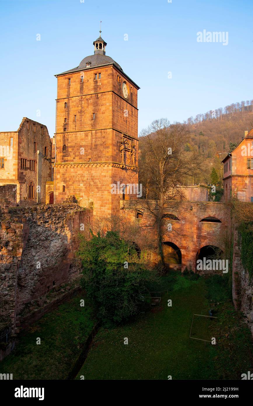 Le Ch teau De Heidelberg Heidelberg Schloss Est Une Ruine Et Un Point le-ch-teau-de-heidelberg-heidelberg-schloss-est-une-ruine-et-un-point
