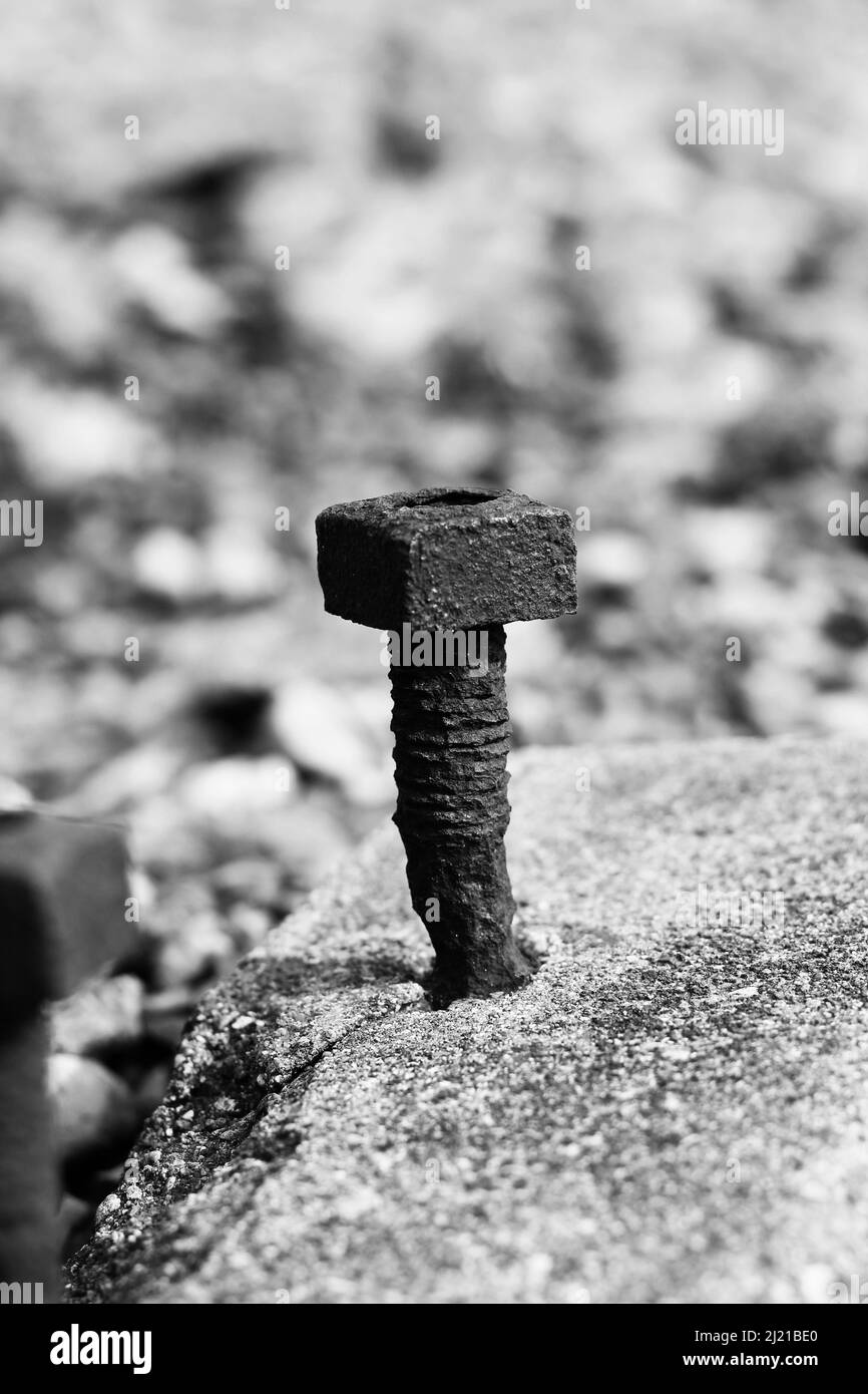 Une vis rouillée qui colle d'un bloc de béton. Banque D'Images