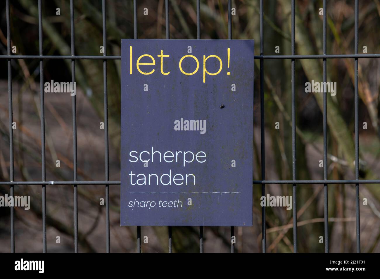 Avertissement dents pointues à Amsterdam, pays-Bas 28-3-2022 Banque D'Images
