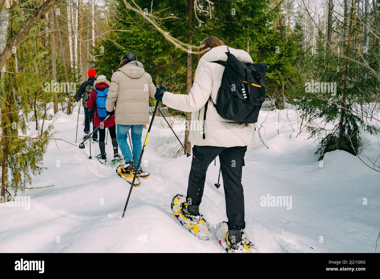 Raquettes dans la forêt d'hiver dans la neige. En hiver, activités de plein air. Trekking dans un paysage couvert de neige utilisant des raquettes et des bâtons de trekking. Banque D'Images