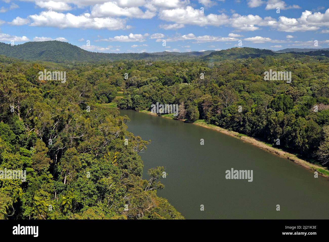 Profitez d'une vue sur une forêt tropicale vierge dans le nord du Queensland, en Australie, dans le Queensland Banque D'Images
