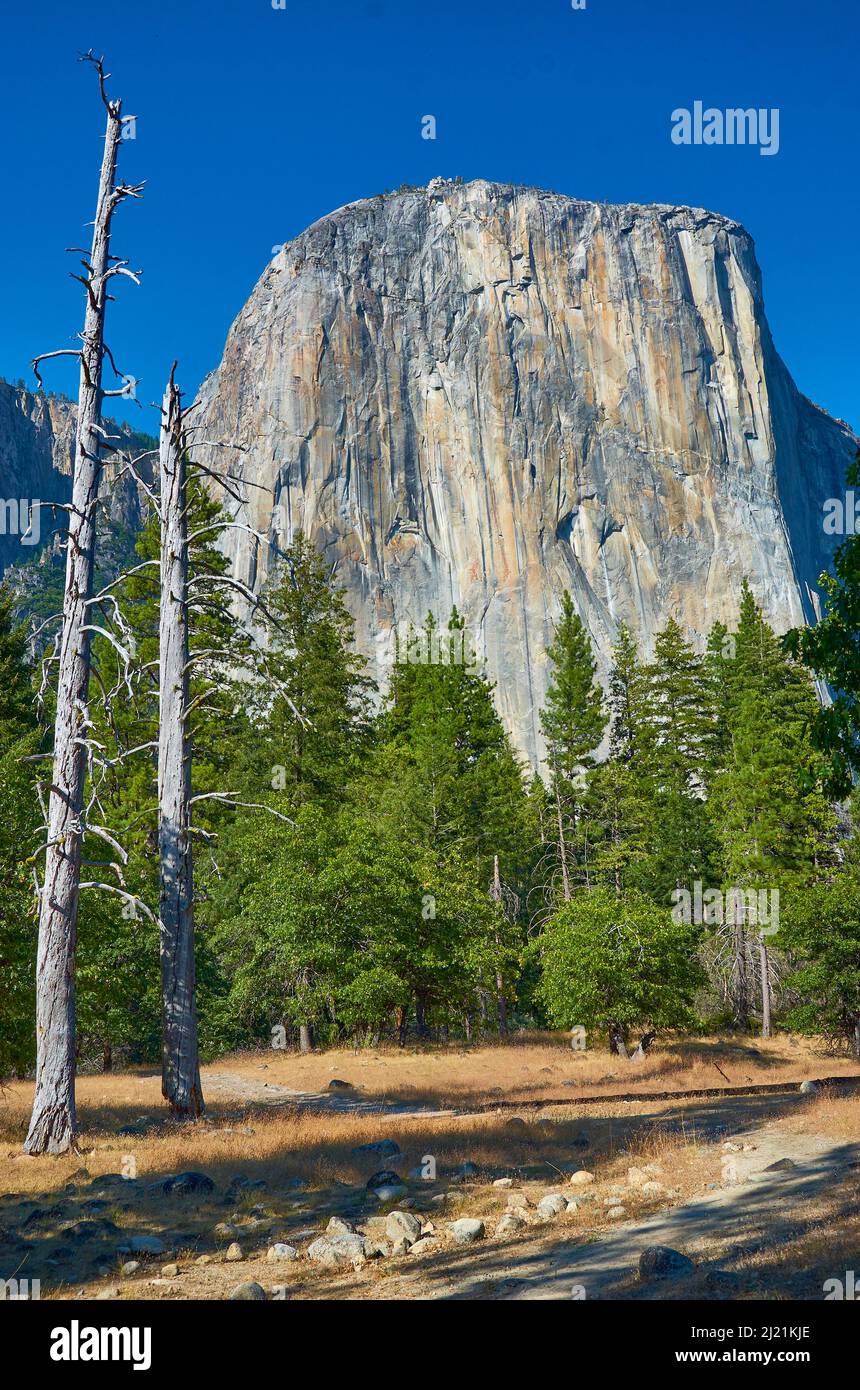 Face sud de l'El Capitan au parc national de Yosemite, États-Unis, Californie, parc national de Yosemite Banque D'Images