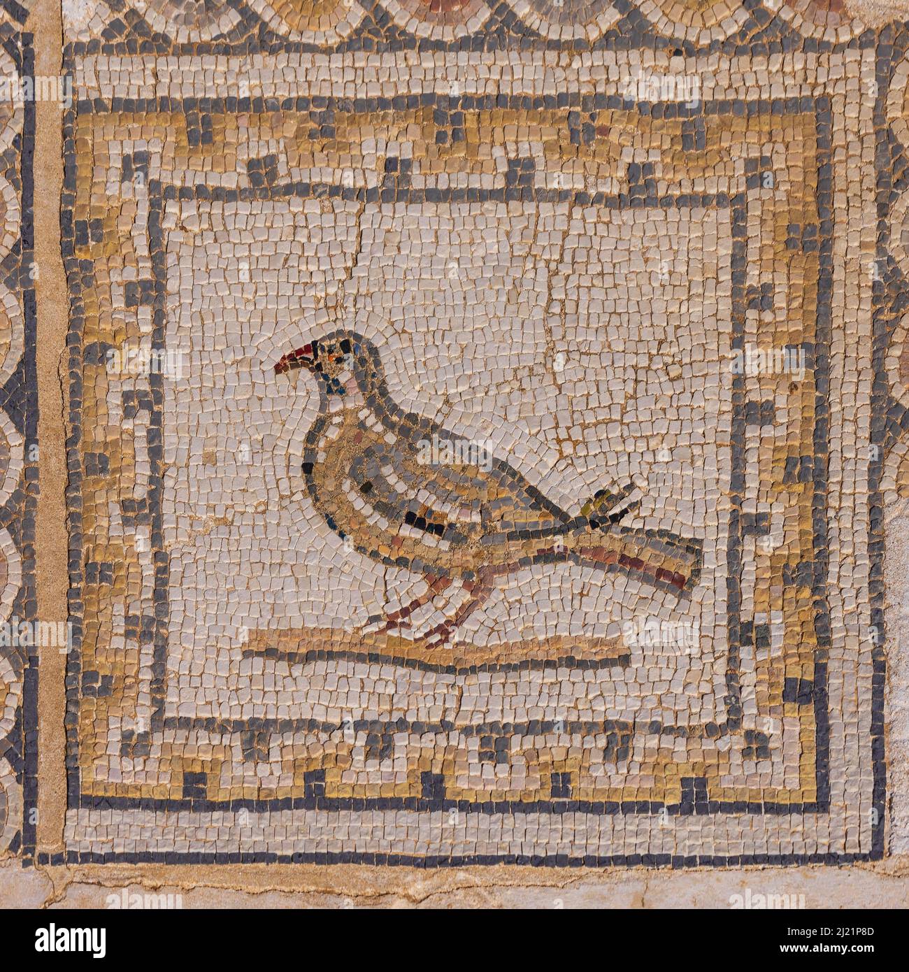 Mosaïque d'un pigeon au sol de la Maison des oiseaux en Italica, site archéologique à la périphérie de Séville Banque D'Images