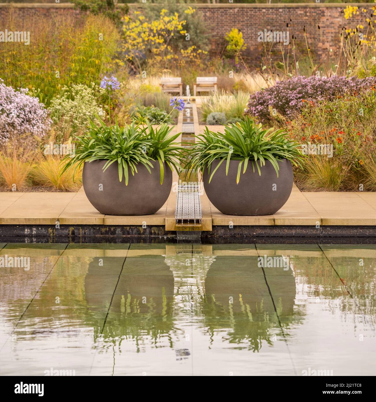 De grandes jardinières rondes en forme de bol placées de chaque côté de l'aneth qui coule dans la piscine du Paradise Garden à RHS Bridgewater. Banque D'Images