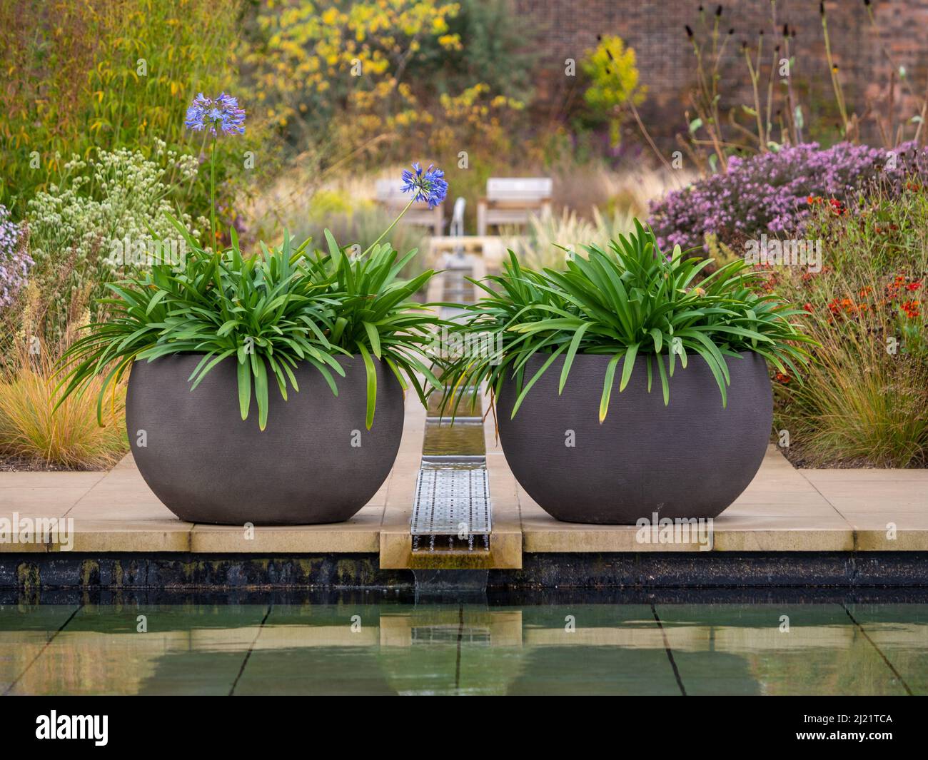 De grandes jardinières rondes en forme de bol placées de chaque côté de l'aneth qui coule dans la piscine du Paradise Garden à RHS Bridgewater. Banque D'Images