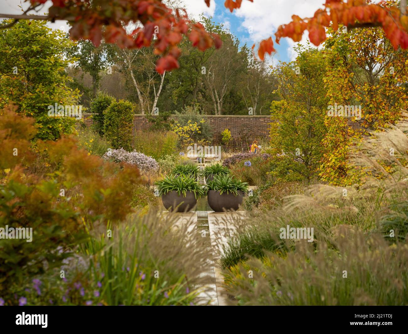 Rill in the Paradise Garden conçu par l'architecte paysagiste Tom Stuart-Smith à Bridgewater, Salford, Royaume-Uni Banque D'Images