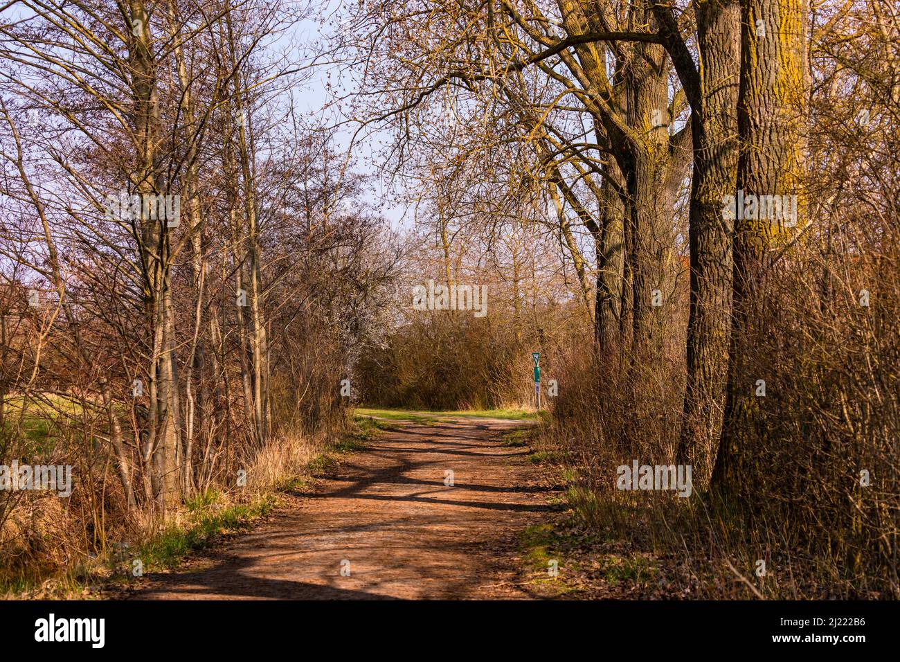 Un chemin forestier à travers une réserve naturelle entre les arbres et les buissons en Allemagne rurale Banque D'Images Un chemin forestier à travers une réserve naturelle entre les arbres et les buissons en Allemagne rurale Banque D'Images