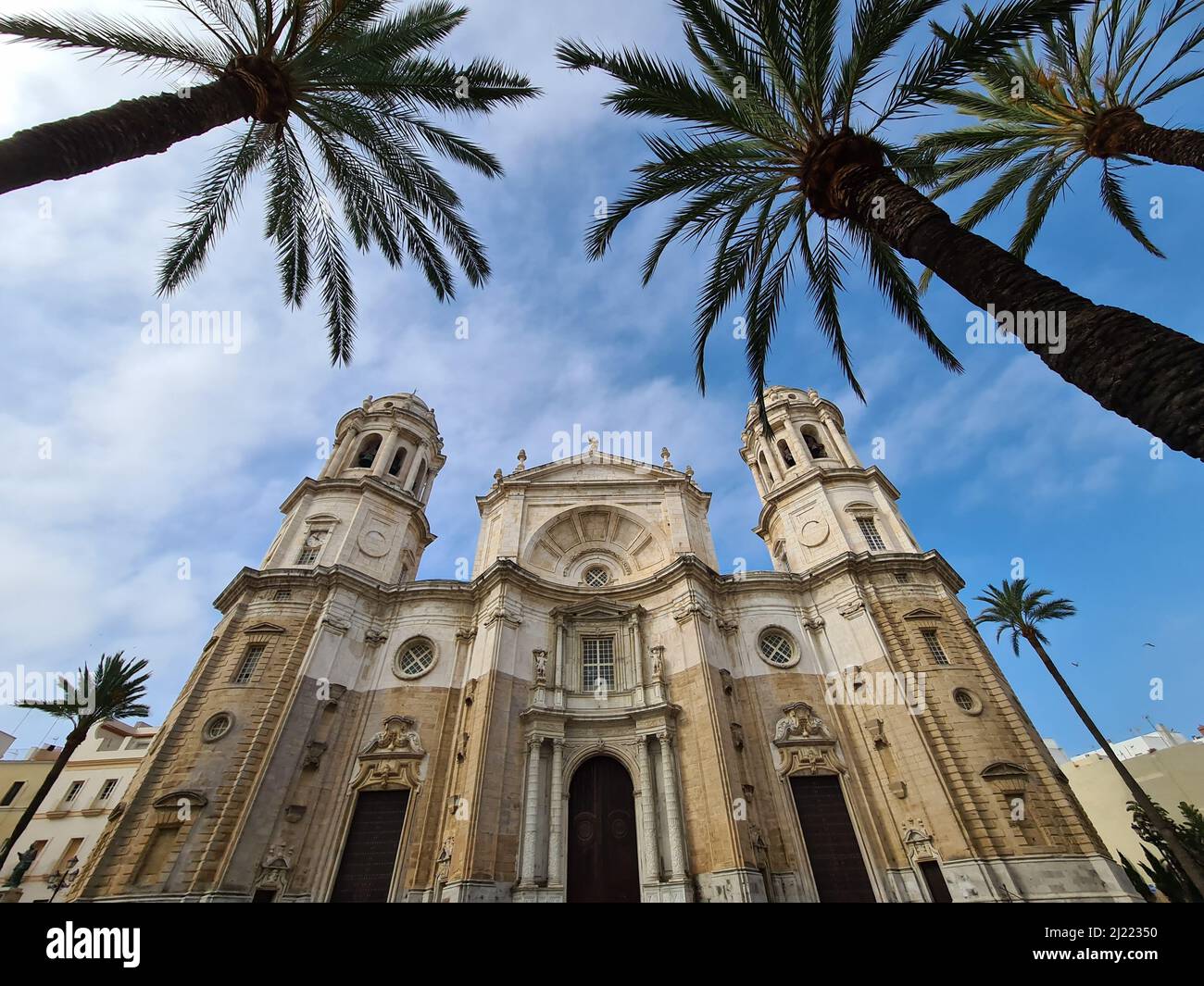 La façade de la cathédrale de Cadix près des palmiers en Andalousie, Espagne Banque D'Images