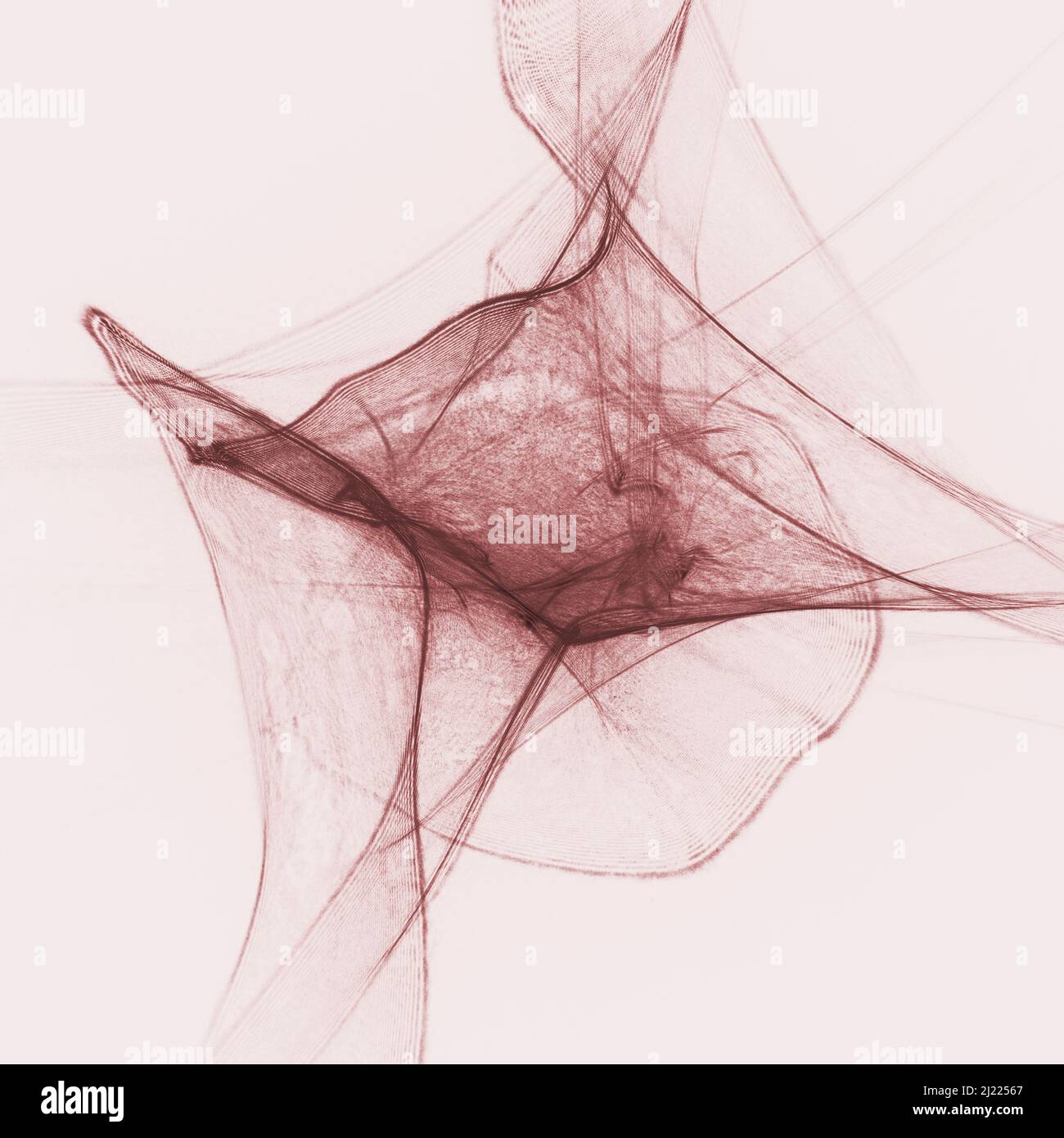 Motif lumineux abstrait, longue exposition du laser et de la lumière LED. Banque D'Images