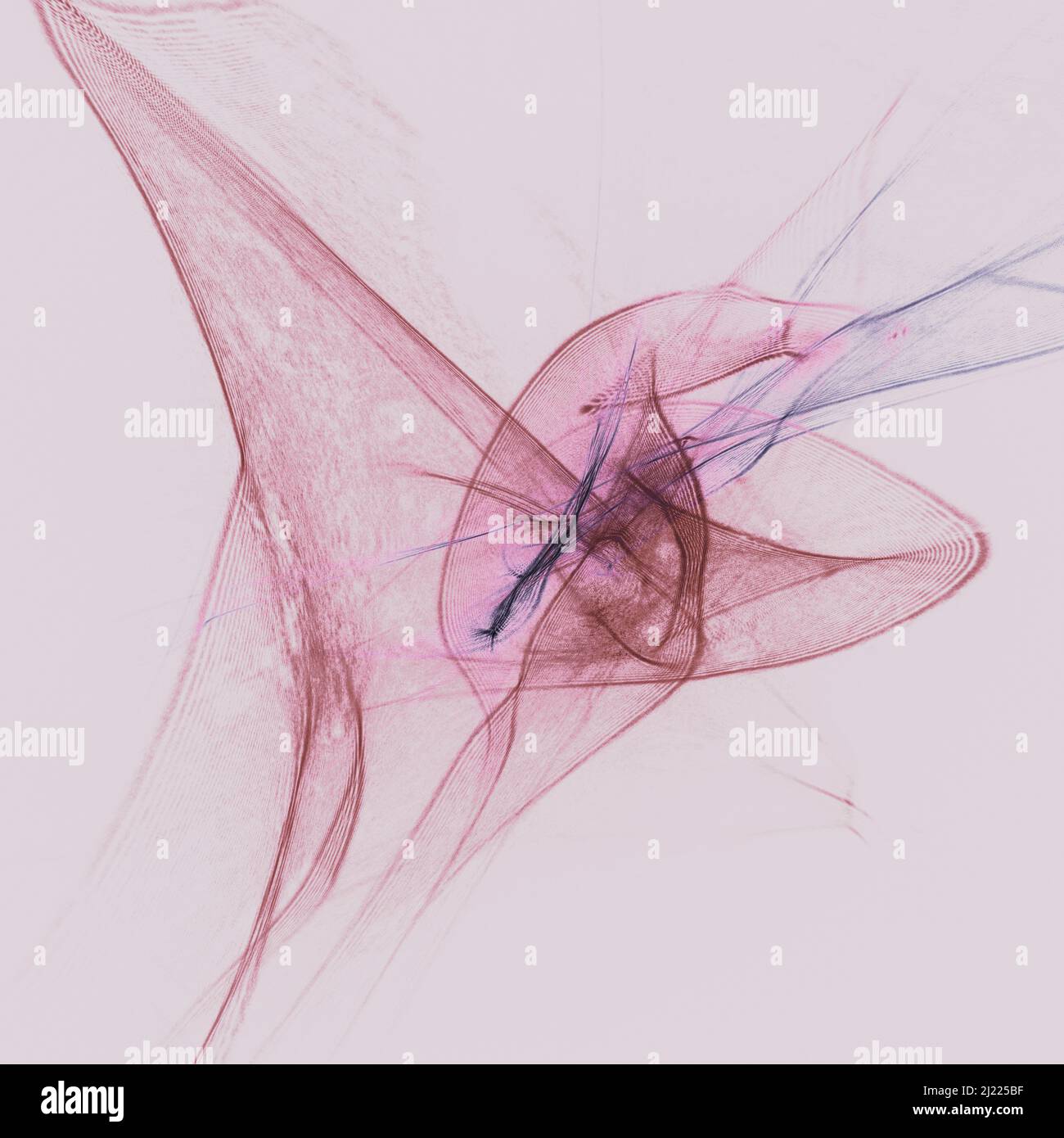 Motif lumineux abstrait, longue exposition du laser et de la lumière LED. Banque D'Images