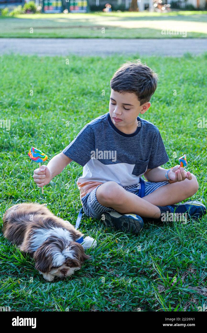 garçon de 8 ans assis sur la pelouse et offrant le suceur à son animal. Banque D'Images