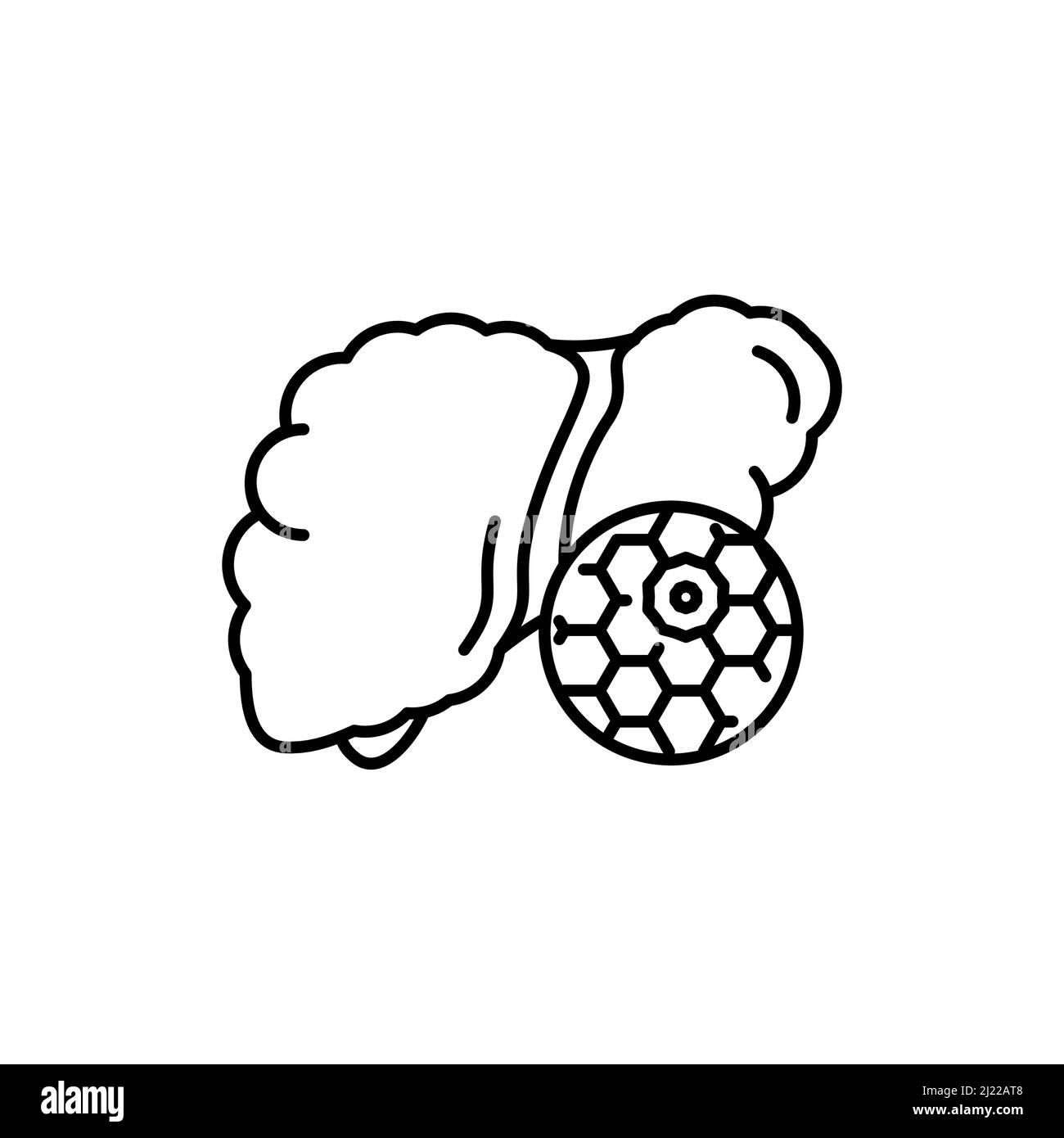 Icône de la ligne de couleur du foie d'Hepatose.Maladies humaines.Pictogramme pour page Web, application mobile, Promo. Illustration de Vecteur