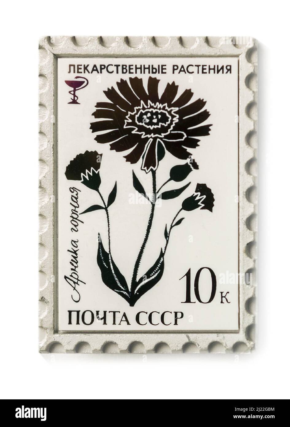 Moscou, Russie - 28 mars 2022 : l'insigne comporte un timbre-poste soviétique avec un motif de plante médicinale. Inscriptions: Plantes médicinales. 'Mountain arni Banque D'Images