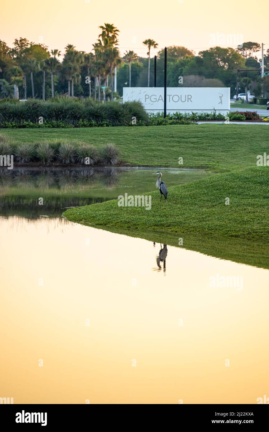 PGA TOUR Global Headquarters at Sunrise à Ponte Vedra Beach, Floride. (ÉTATS-UNIS) Banque D'Images