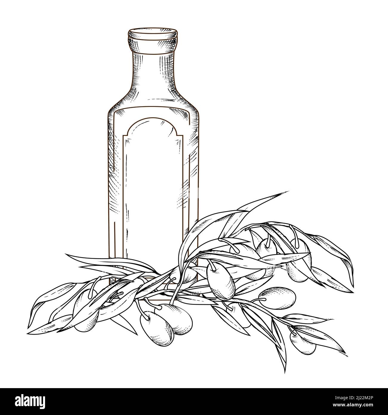 Bouteille d'huile d'olive et olives, gravure manuelle illustration vectorielle isolée. Illustration de Vecteur