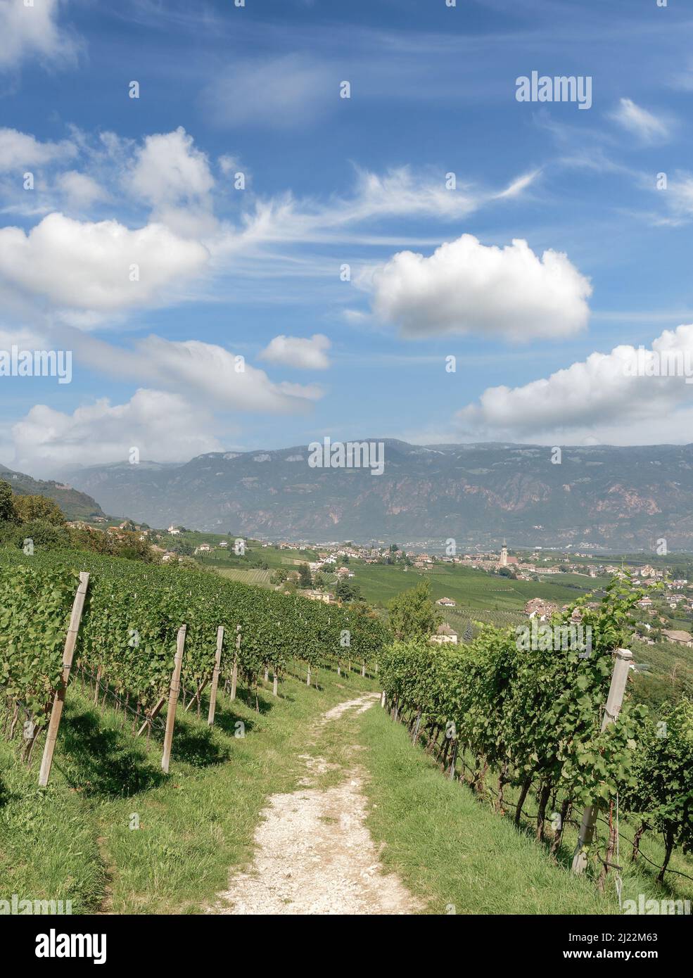 Vue sur le village viticole d'Appiano ou d'Eppan an der Weinstrasse, Trentin, Tyrol du Sud, Italie Banque D'Images