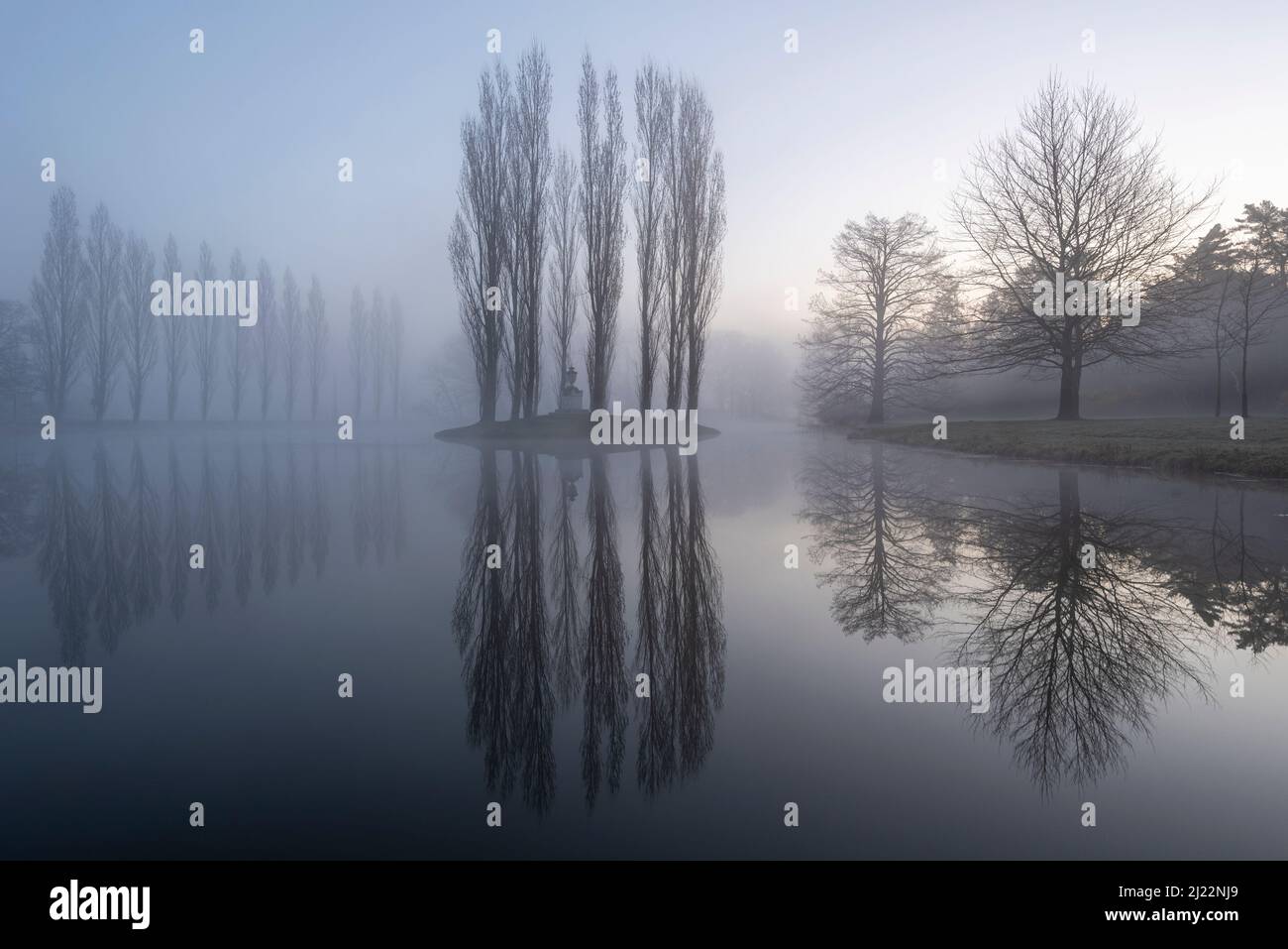 Dans le Royaume des jardins de Wörlitz, plusieurs arbres se reflètent dans un étang à l'aube. Le Royaume des jardins de Dessau-Wörlitz a été classé au patrimoine mondial de l'UNESCO Banque D'Images