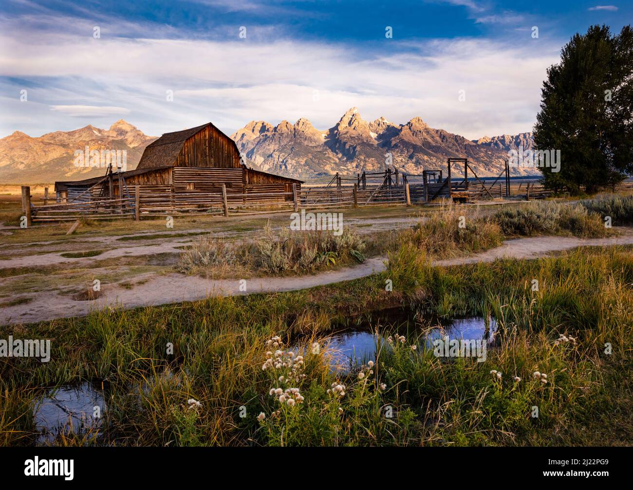 Molton Barn le long de Mormon Row près du parc national de Grand Teton Banque D'Images