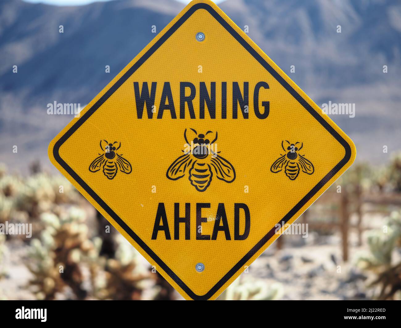 Panneau « warning Bees Ahead » dans le parc national de Joshua Tree, Californie Banque D'Images