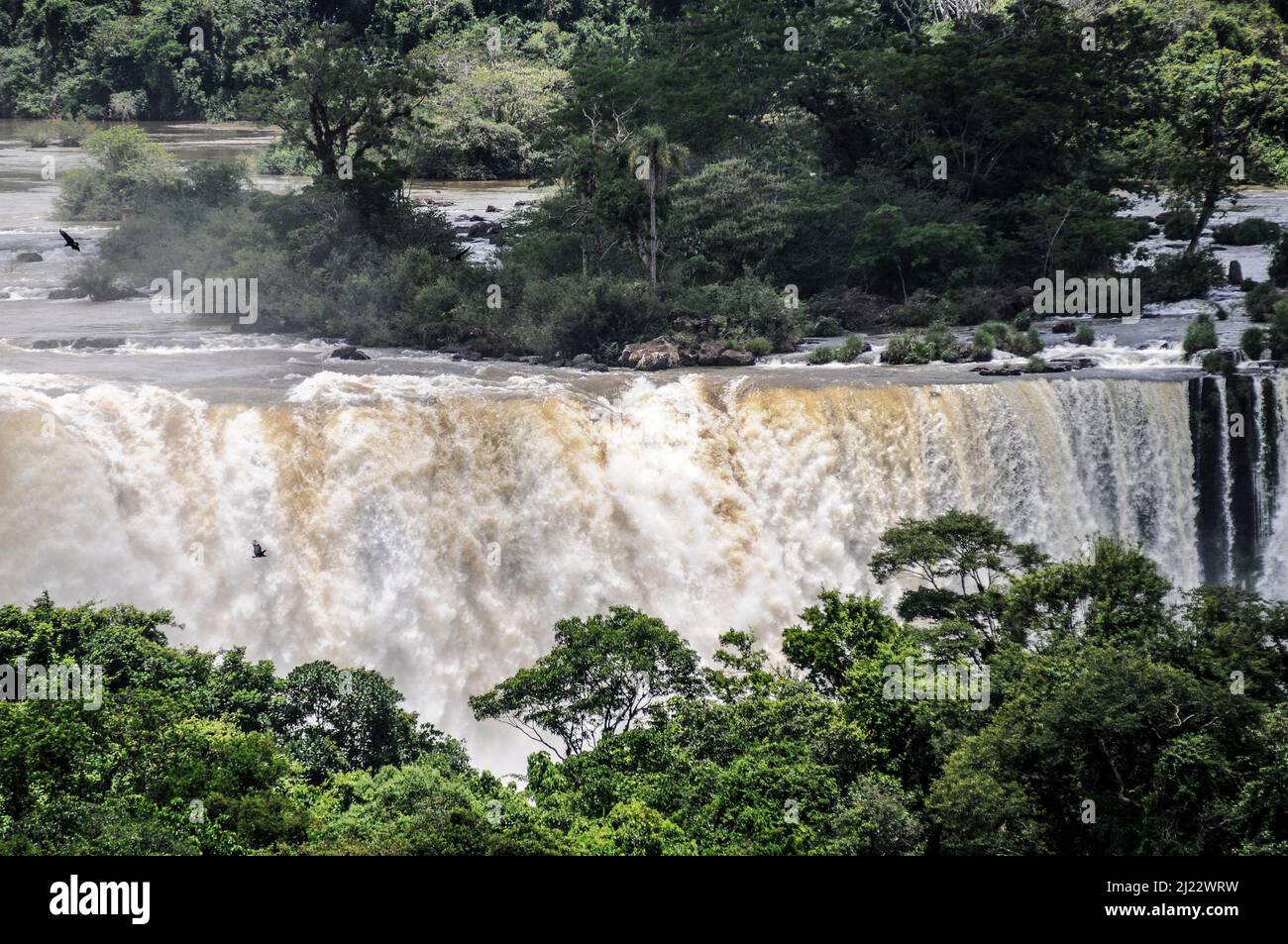 D'Iguazu, Misiones, Argentine Banque D'Images