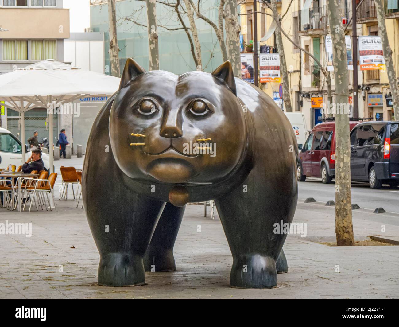 El gato del raval Banque de photographies et d’images à haute ...