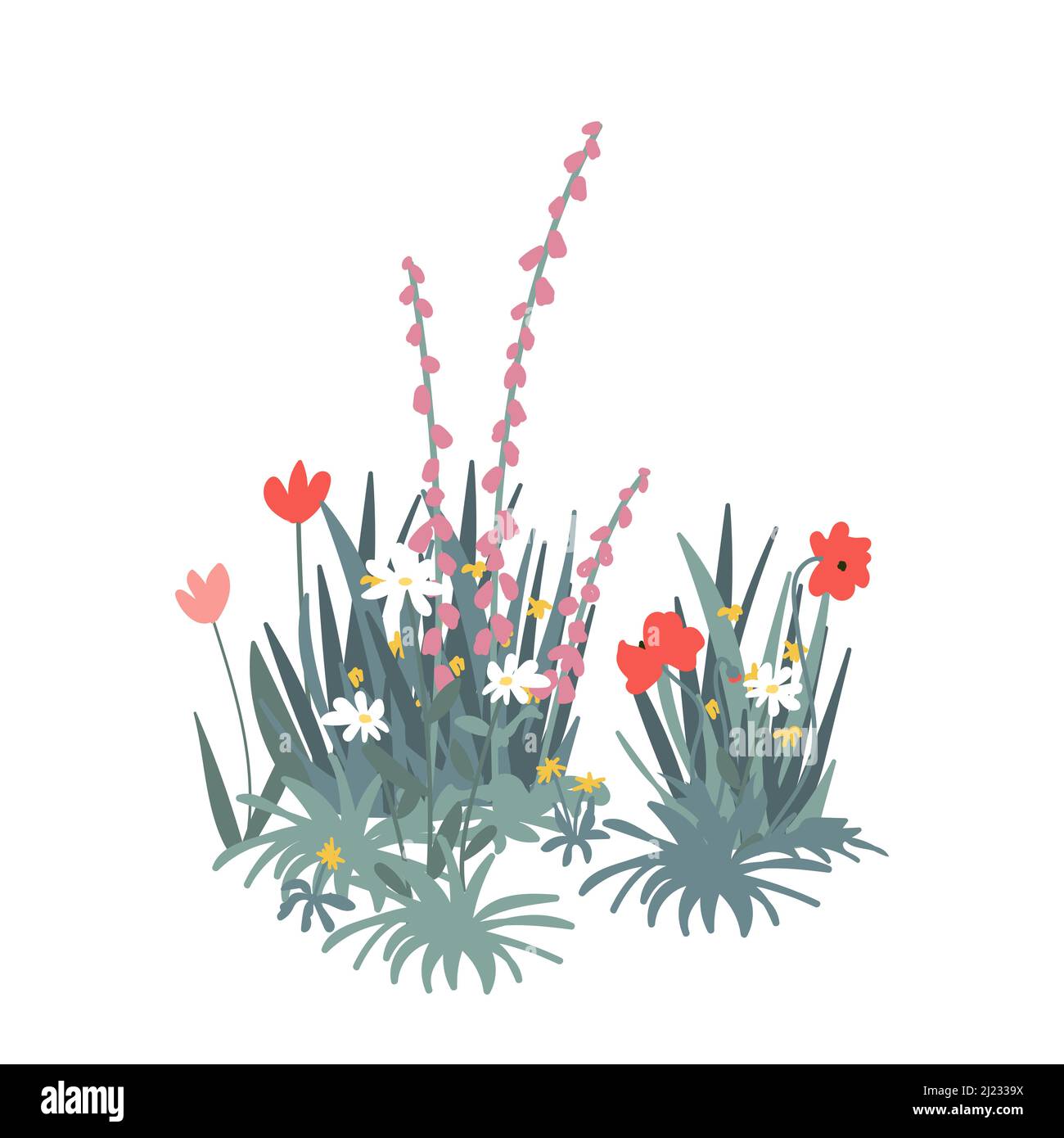 Ensemble isolé de fleurs de jardin de printemps. Jardin parterre à fleurs et herbe verte sur fond blanc. Printemps et été de fleurs sauvages dans le jardin Illustration de Vecteur