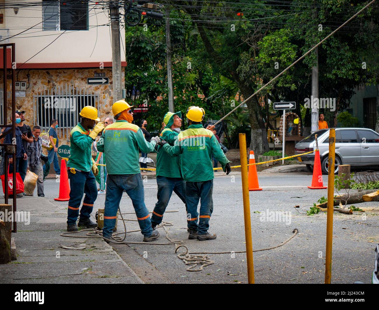 Medellin, Antioquia, Colombie - Mars 25 2022: Les travailleurs portant des costumes de protection verts et un chapeau rigide jaune tirent une rondin de bois avec une corde épaisse Banque D'Images Medellin, Antioquia, Colombie - Mars 25 2022: Les travailleurs portant des costumes de protection verts et un chapeau rigide jaune tirent une rondin de bois avec une corde épaisse Banque D'Images