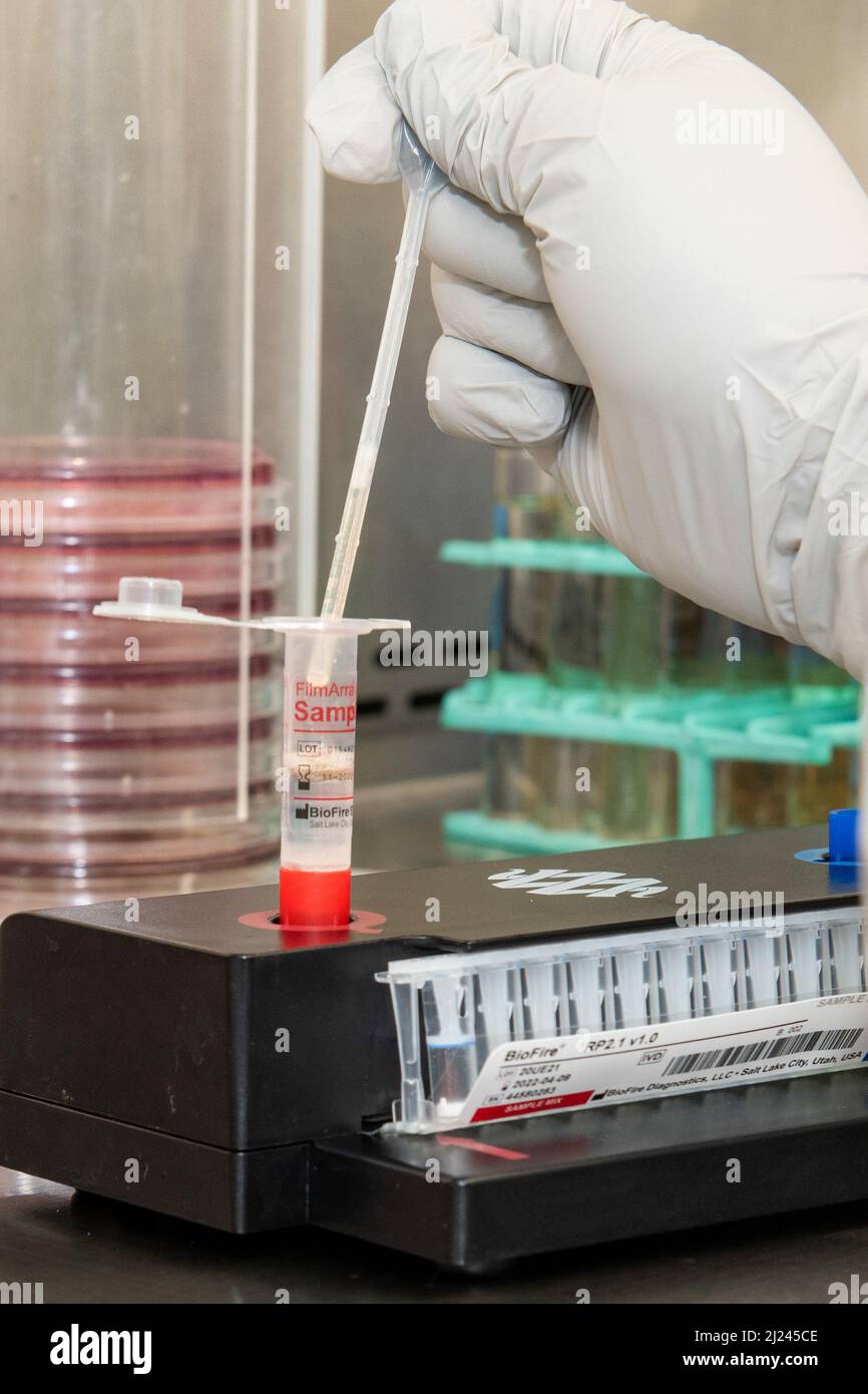 U.S. Air Force Tech. Sgt. Max-Eddie Ibarrientos, officier responsable de la Section de microbiologie de l'escadron de soutien médical 673d, prépare un échantillon pour tester le virus COVID-19 à la base conjointe Elmendorf-Richardson, Alaska, le 16 mars 2022. L'équipe du laboratoire du groupe médical 673d a considérablement augmenté ses capacités de dépistage du virus COVID-19 et d'autres infections respiratoires lorsqu'elle a acquis deux analyseurs de haute capacité, l'un en novembre 2021 et l'autre en janvier 2022. L'un des analyseurs peut tester 1 152 échantillons par jour et est le seul analyseur de cette capacité dans le département de Banque D'Images