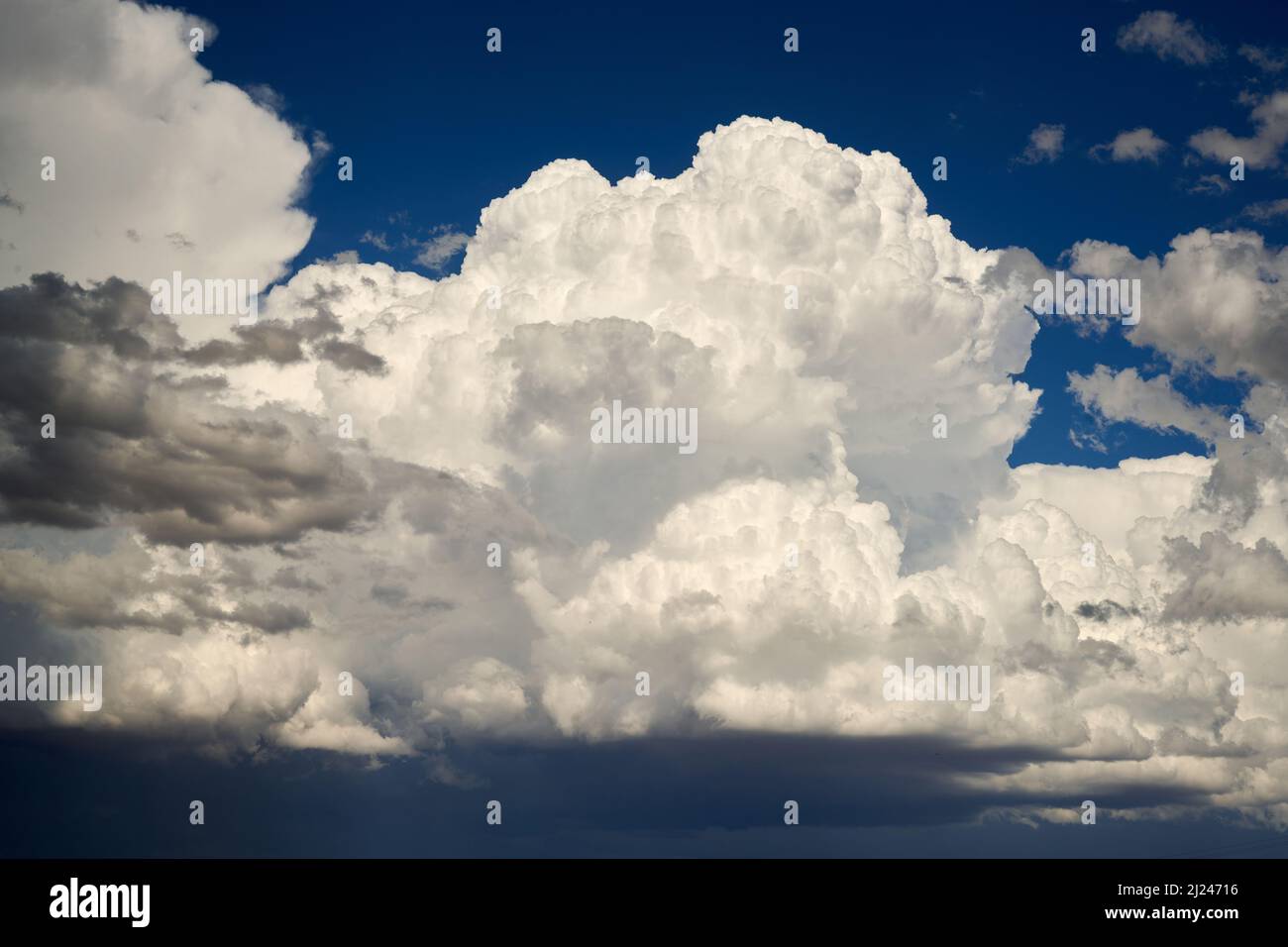 Les nuages Cumulus se construisent au bord d'un front d'orage. La lumière tardive de l'aternonn défiant leur beauté structurative. Banque D'Images