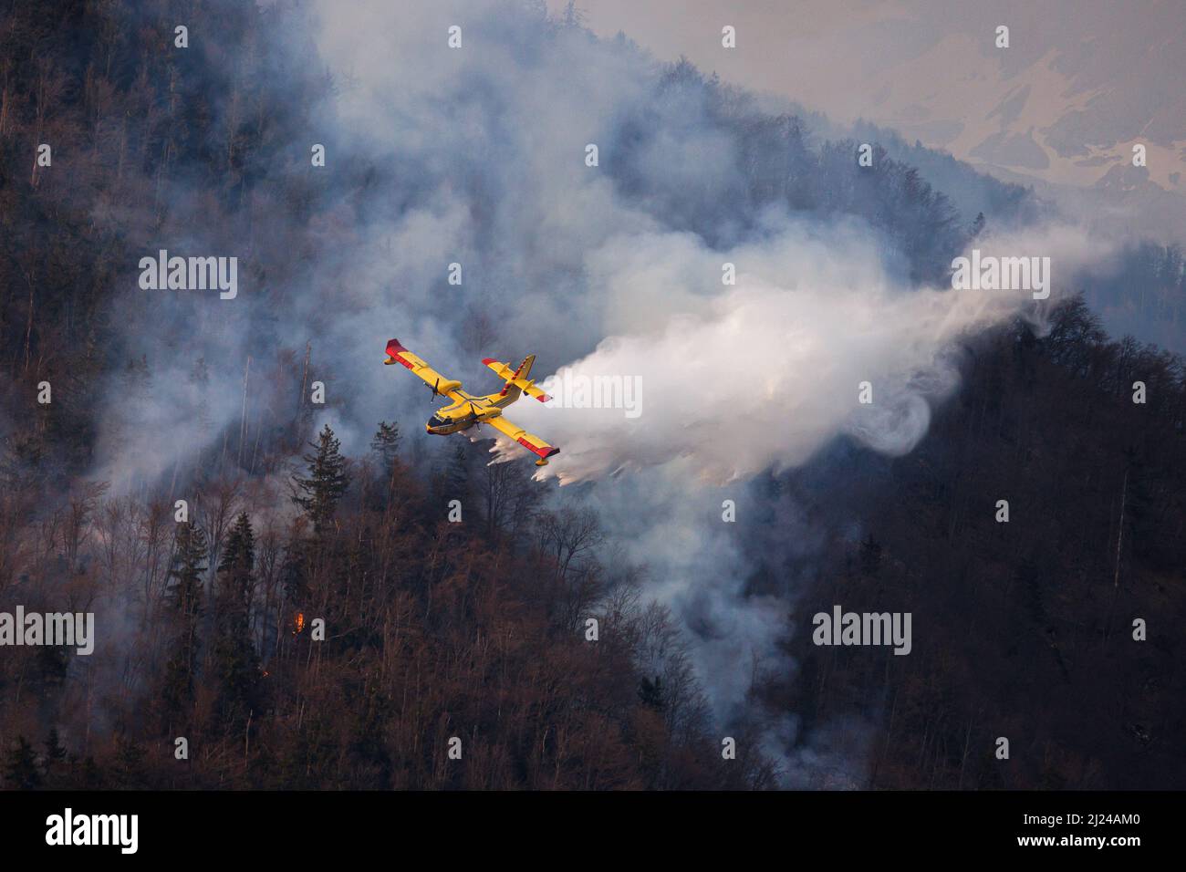 Un avion de lutte contre les incendies Croate Canadair CL-415 laisse tomber de l'eau lors d'un incendie de forêt près de Preddvor après son appel pour aider les pompiers slovènes. La cause de l'un des plus grands incendies de forêt en Slovénie n'est pas connue, mais la sécheresse prolongée dans le pays l'aide à se propager et à continuer sans relâche. Un grand feu de forêt a éclaté dans les collines au-dessus de Predvor, en Slovénie, le 28 mars, et continue de faire rage et de s'étendre. Comme la Slovénie n'a pas d'avion de lutte contre l'incendie, la Croatie voisine a envoyé un avion de lutte contre l'incendie de Canadair pour aider les pompiers slovènes. Le feu fait rage en raison de la grave bofreuse Banque D'Images