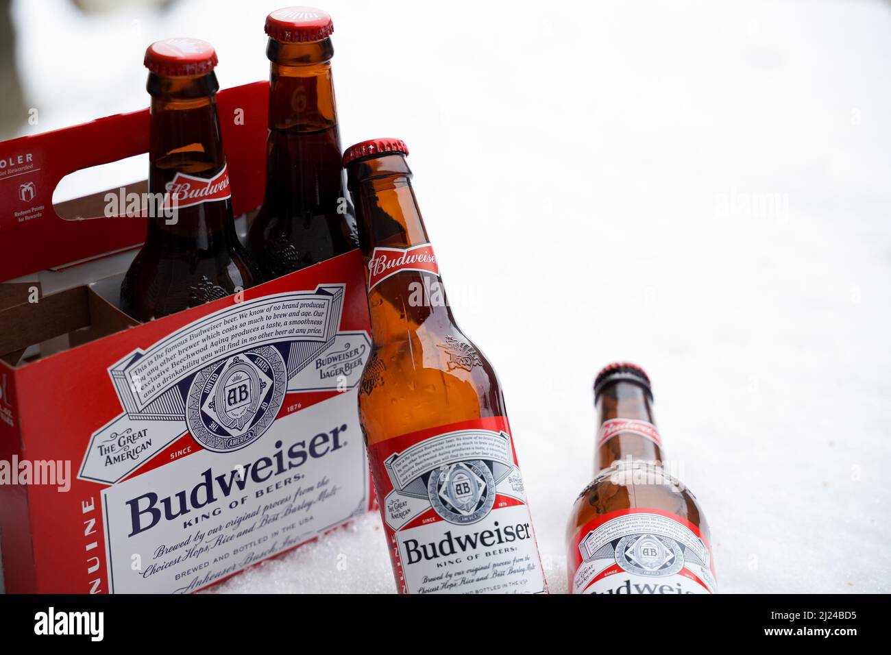 Marinette,WI,USA -Dec1-2021: Un vendeur de plein air vend de la bière Budweiser réfrigérée sur une table avec beaucoup de neige. Bouteilles de bière Bud, un pâle de style américain Banque D'Images