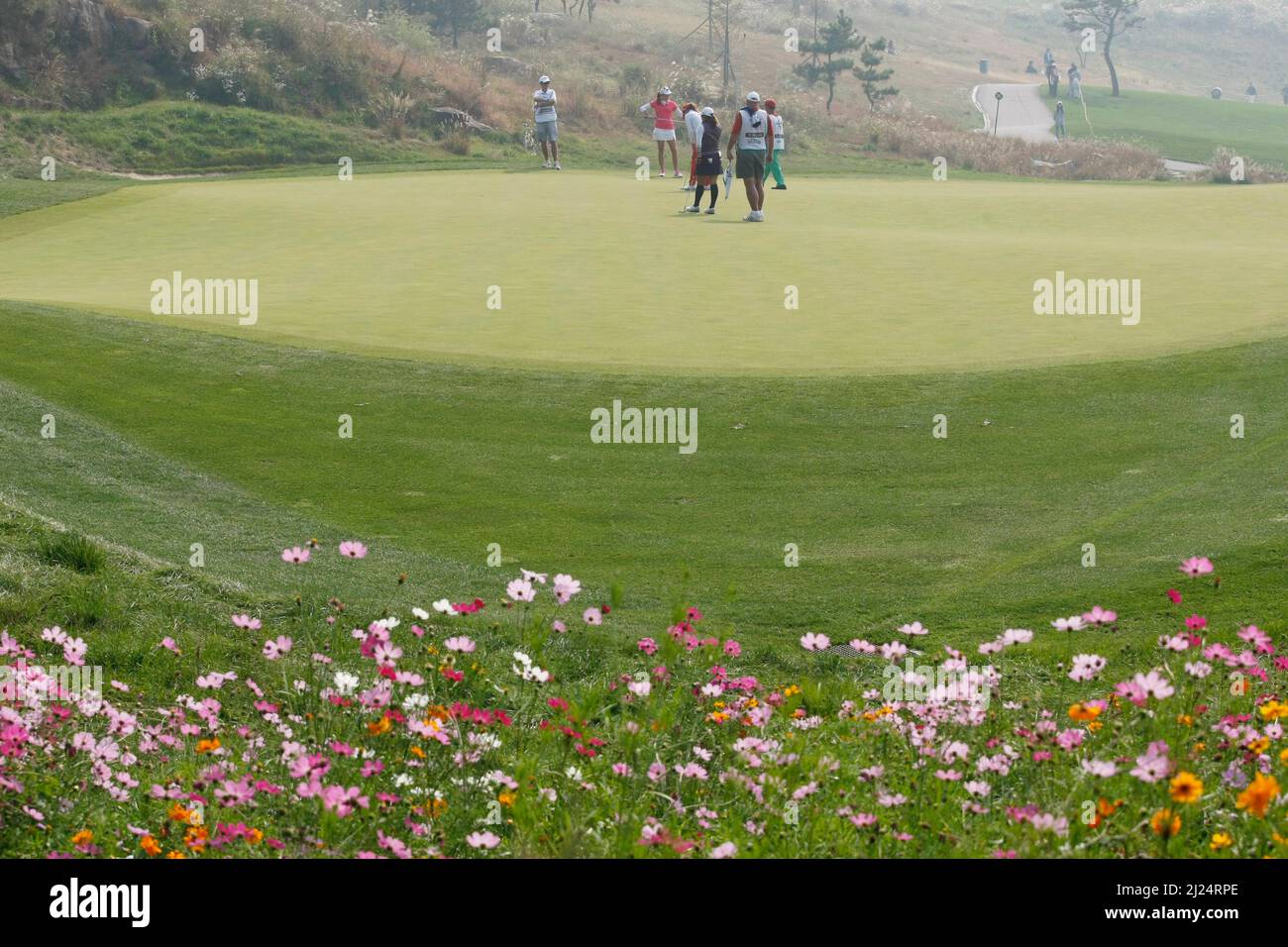 8 oct 2011-Incheon, South Korea-CREAMER, Paula des Etats-Unis (centre en arrière), joue sur le 2th trous lors du championnat LPGA par Hana Bank au club de golf SKY72 à Incheon le 8 octobre 2011, Corée du Sud. Banque D'Images