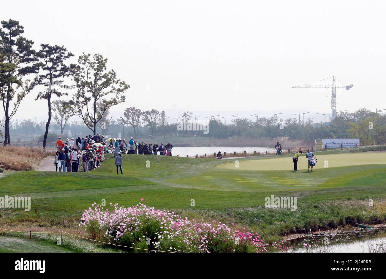 8 octobre 2011-Incheon, Corée du Sud-des spectateurs se rassemblent au vert pour assister à l'action lors du championnat LPGA par Hana Bank au club de golf SKY72 à Incheon le 8 octobre 2011, Corée du Sud. Banque D'Images
